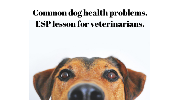 Common dog health problems. ESP lesson for vets.